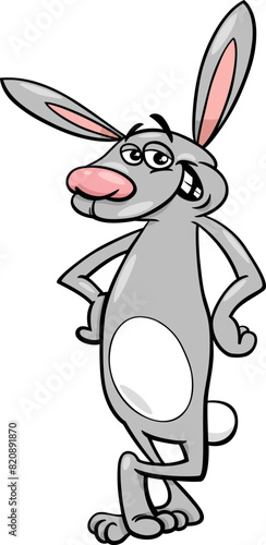 funny cartoon rabbit comic animal character