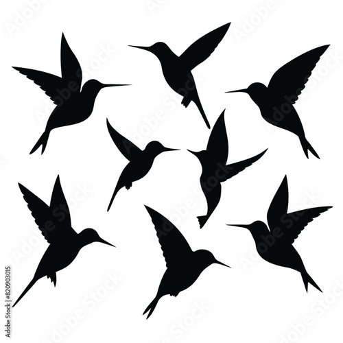 Set of Anna’s Hummingbird black Silhouette Vector on a white background © mobarok8888