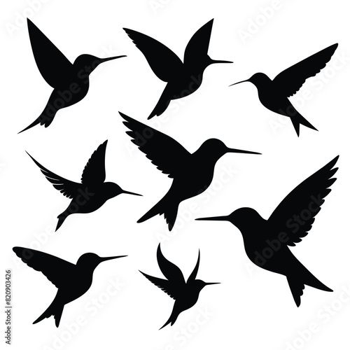 Set of Anna’s Hummingbird black Silhouette Vector on a white background photo