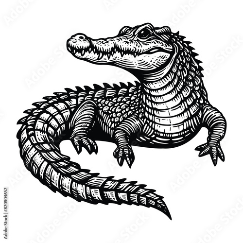 crocodile illustration. hand drawn alligator black and white vector illustration. isolated white background