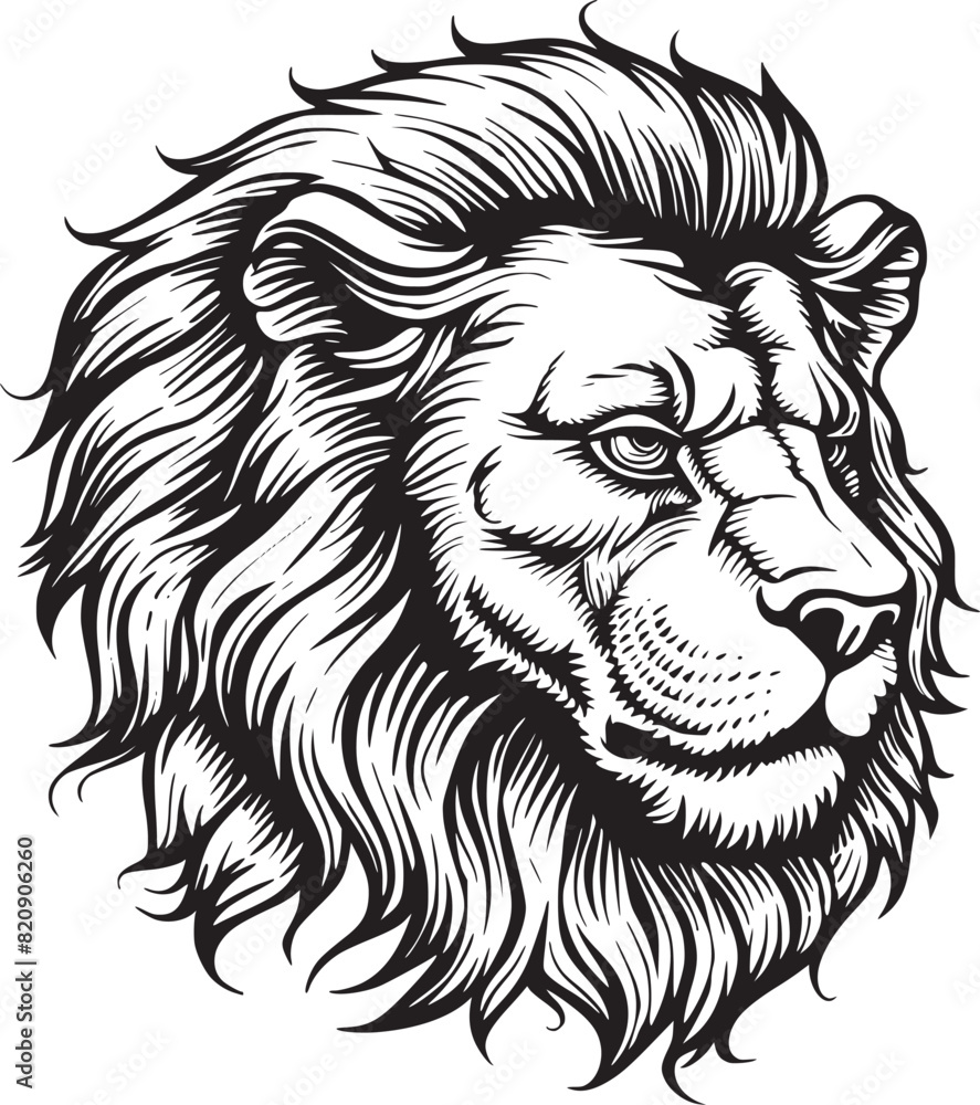 Obraz premium Lion Head