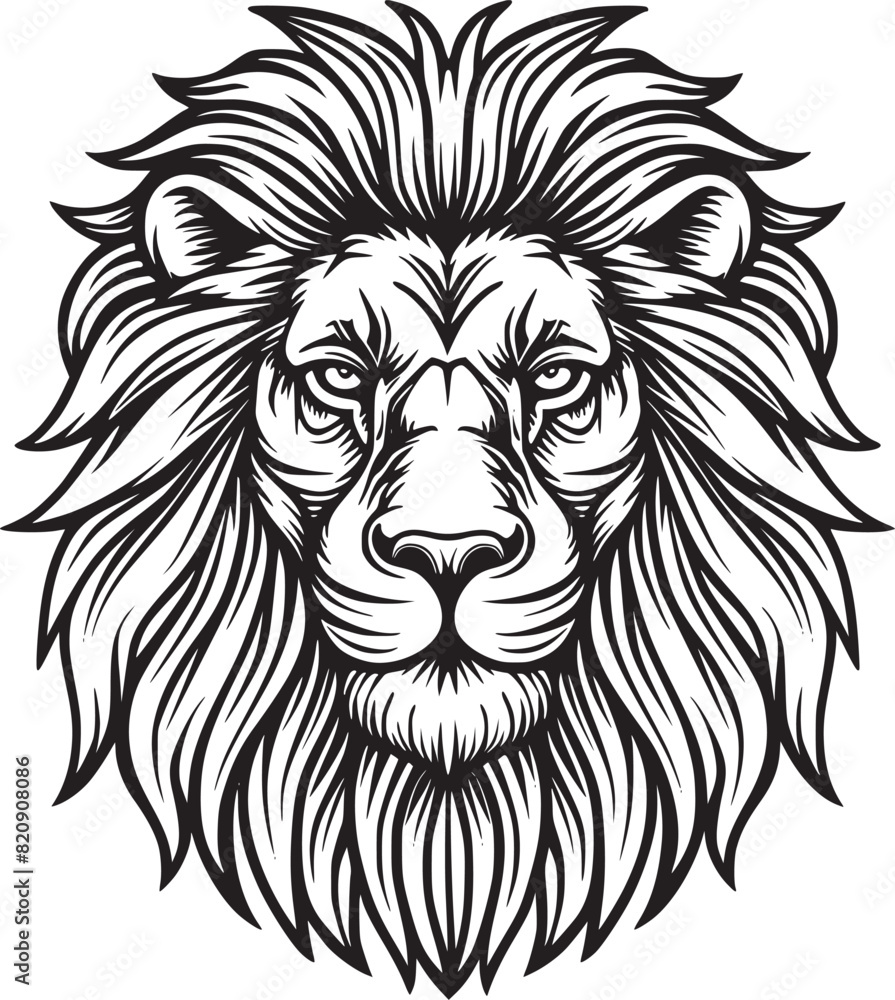 Obraz premium Lion Head