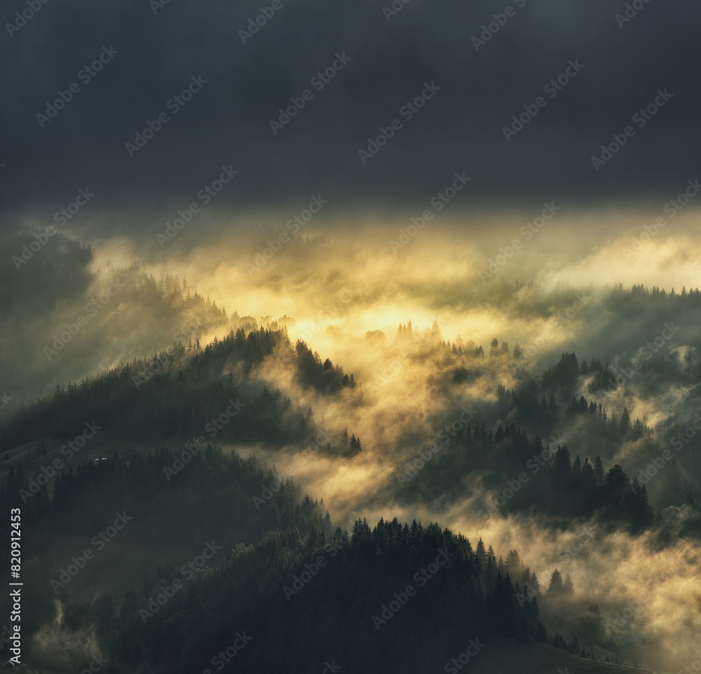 Fototapeta premium silhouettes of morning mountains. foggy morning in the Carpathians. Mountain landscape