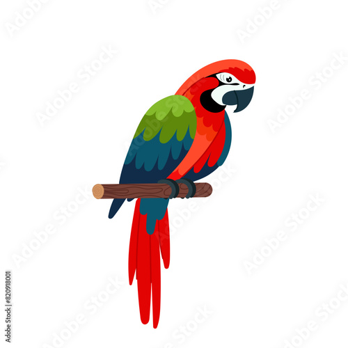 Red parrot in flat style. Colorful tropical bird on a white background.