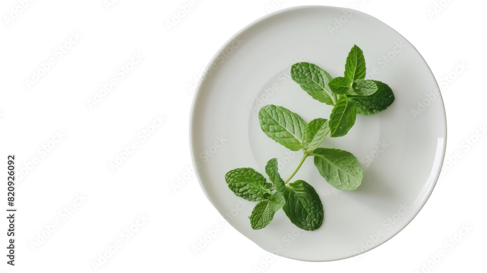 Whispers of Nature: A Plate Adorned With Fresh Green Leaves Whispers of Nature: A Plate Adorned With Fresh Green Leaves