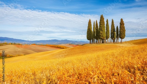 cypress tree on autumnal landscape of val d orcia photo