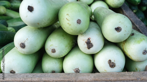 A bunch of boutle gourds beautifully arranged for selling  in the market photo