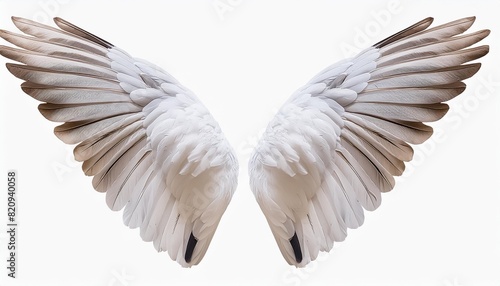 realistic angel wings white wing isolated transparency ai generative illustration © Toby