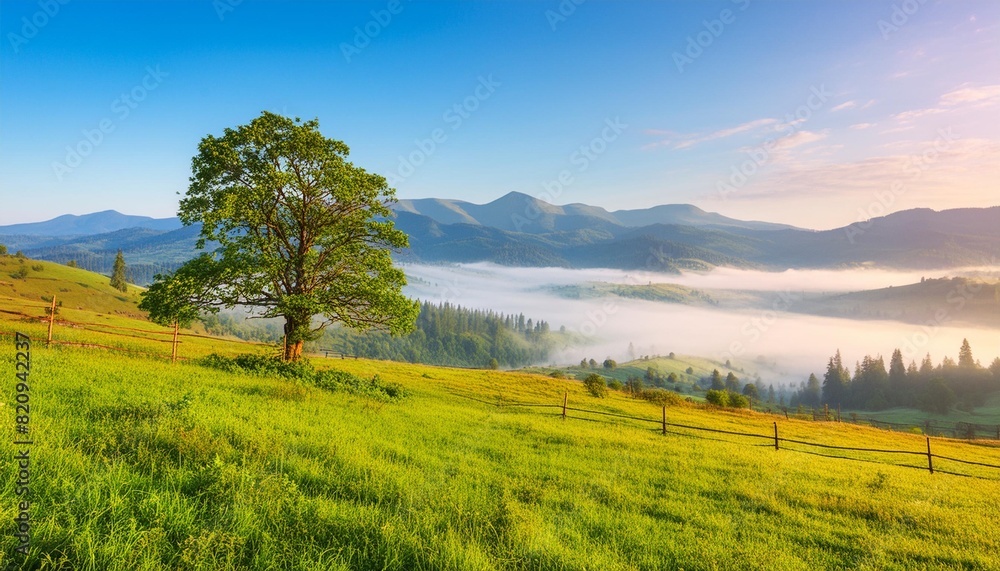 carpathian rural landscape at sunrise tree on the grassy meadow in morning light foggy valley and mountain ridge in the distance