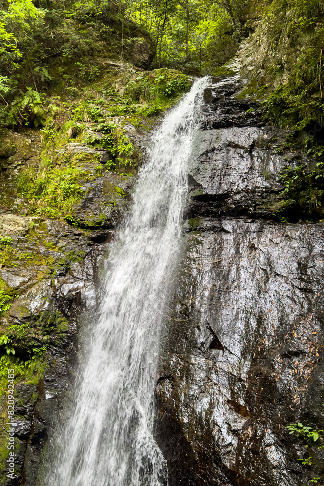 Naklejka premium 日本周遊 奈良県吉野森林めぐり