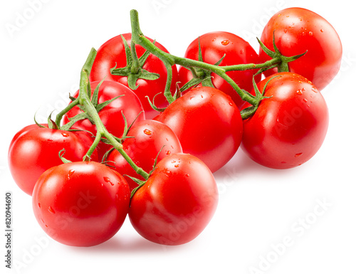 branch of tomatoes isolated on a white background. Clipping path