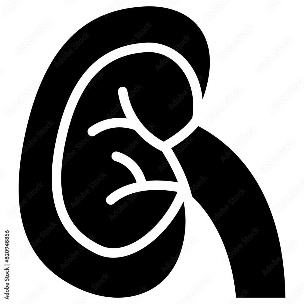 kidney solid icon kidney solid icon