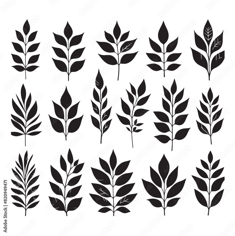 set of leaves silhouettes on white set of leaves silhouettes on white
