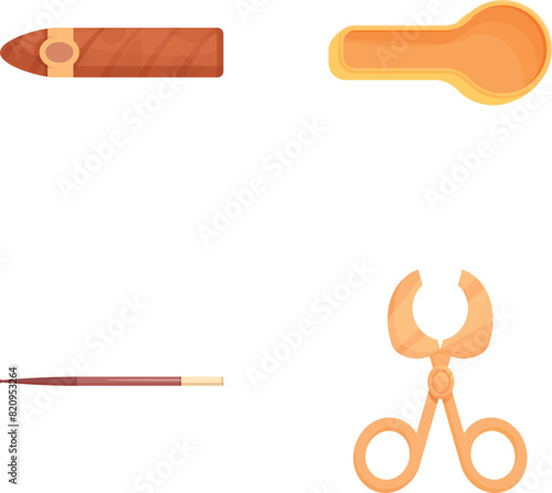 Smoking accessory icons set cartoon vector. Cigar and smoking device. Tobacco product