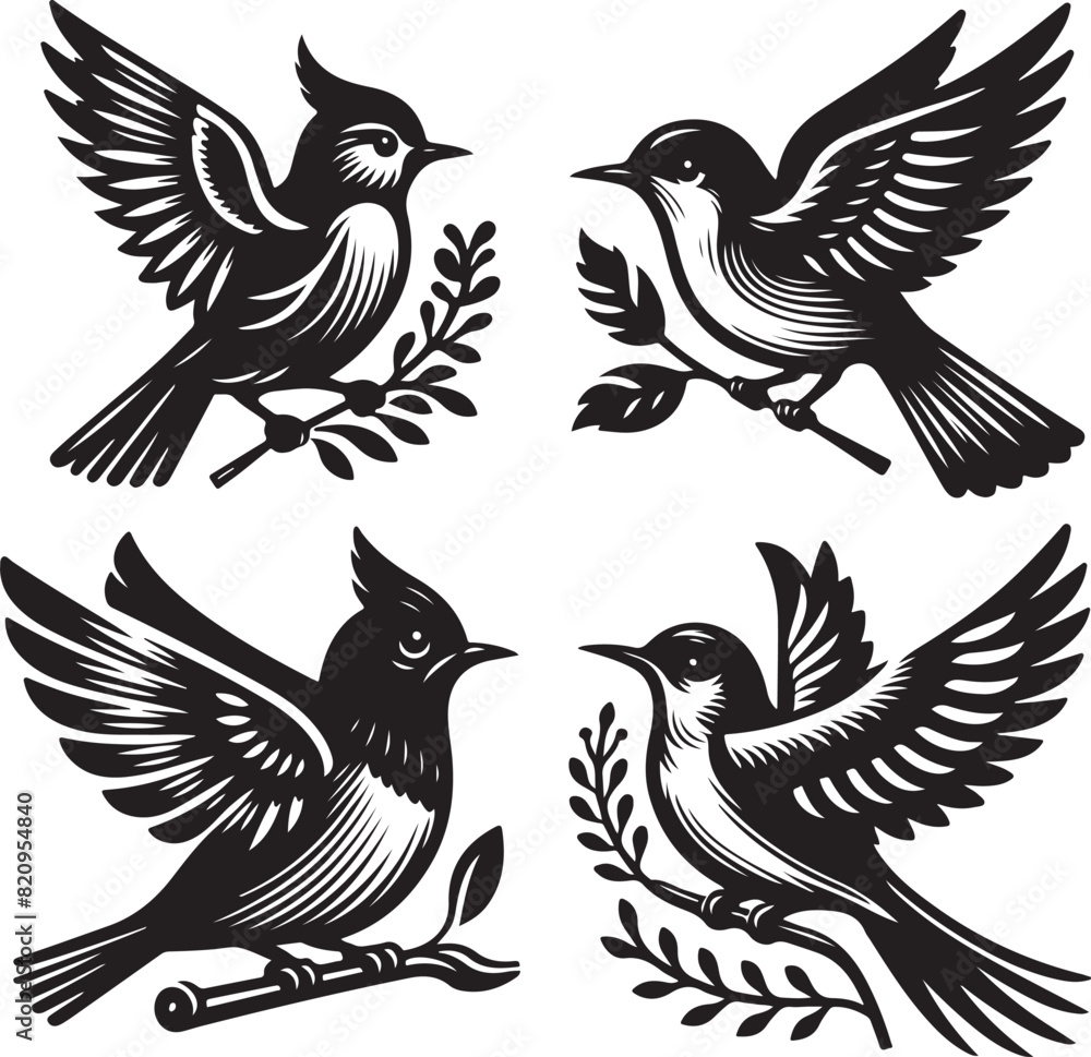 Obraz premium bird vectore illastration