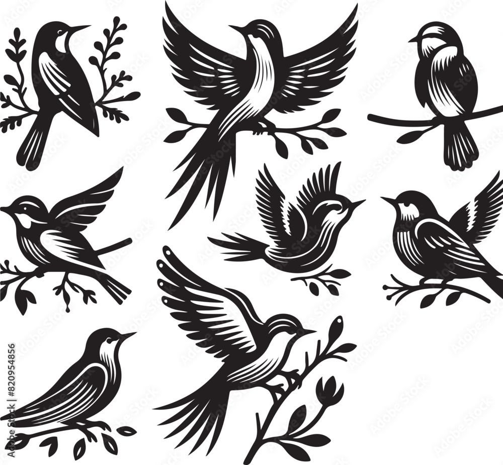 Obraz premium bird vectore illastration