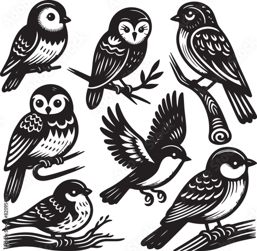 bird vectore illastration