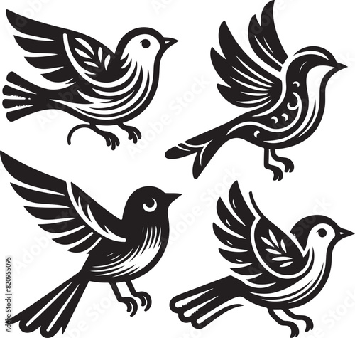 bird vectore illastration