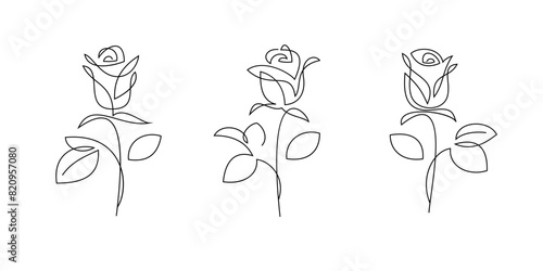 One line rose flowers, vector drawing