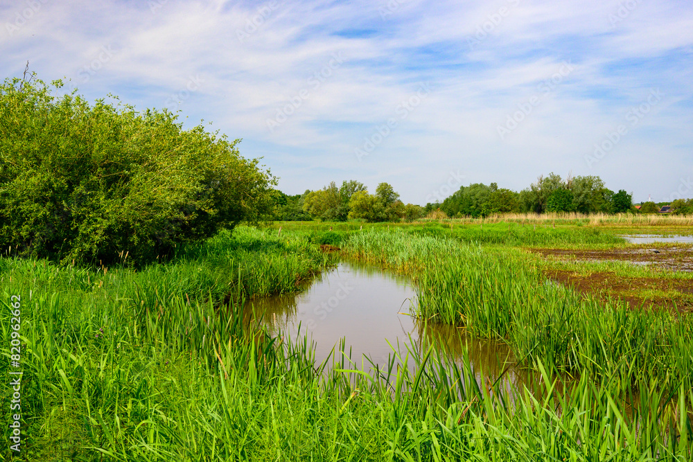 Fototapeta premium Photo with a river through a green nature reserve, with a blue sky with white clouds