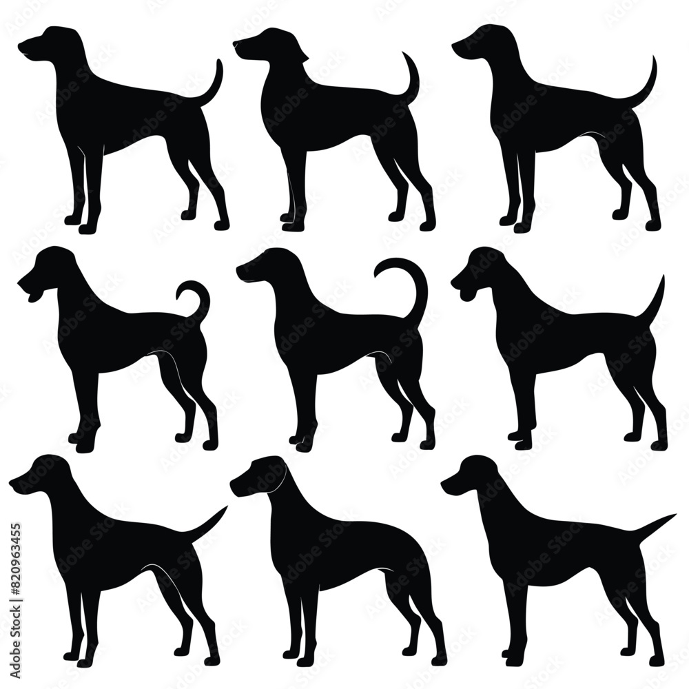 Set of Black American Coonhound Silhouette Vector on a white background