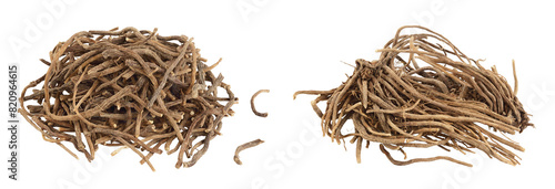 Dried Valerian root isolated on white background. Valeriana officinalis with full depth of field.