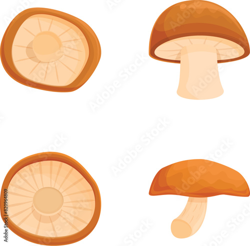 Shiitake icons set cartoon vector. Asian shiitake mushroom or fungi. Edible mushroom