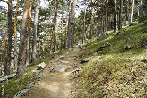 view of a section of the Schmidt Trail hiking route