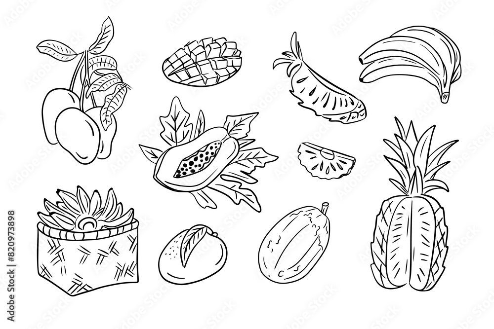 Monochrome outline doodles of tropical fruits in hand drawn style. Vector contour sketchy drawings of sweet fruits on white background. Ideal for coloring pages, tattoo, pattern Monochrome outline doodles of tropical fruits in hand drawn style. Vector contour sketchy drawings of sweet fruits on white background. Ideal for coloring pages, tattoo, pattern