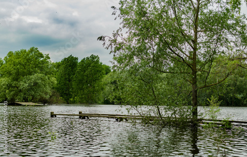 un lac dans une forêt avec un ciel bleu
