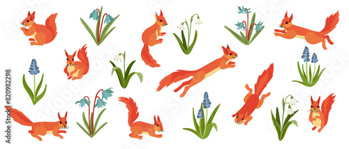 vector drawing squirrels and spring flowers, hand drawn animals isolated at white background , cartoon style characters