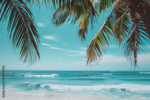 Tropical Beach  Palm Trees  Ocean Waves  Aqua Blue