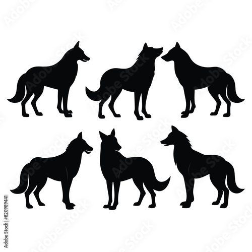 Set of Arabian Wolf black Silhouette Vector on a white background