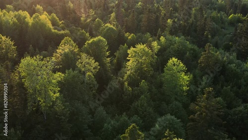 Amazing inspirational epic drone view of tops green conifers in beautiful mountains during warm sunset. Wanderlust destination and nature concept. Outdoors lifestyle for healthy and fresh air photo