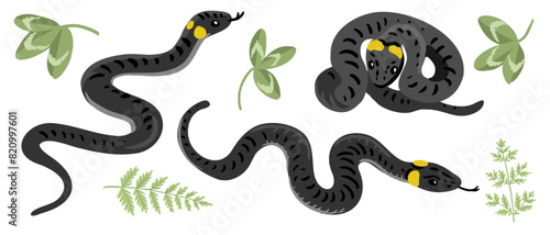 vector drawing ringed snakes and green leaves isolated at white background, hand drawn illustration
