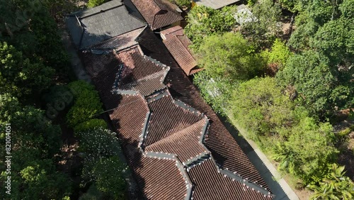 Aerial view of Mekong Delta, Ben Tre tourist with large ancient tree, Apricot or Bach Mai flower, a heritage tree and old house at Phu Tu temple, a travel destination for Vietnam photo