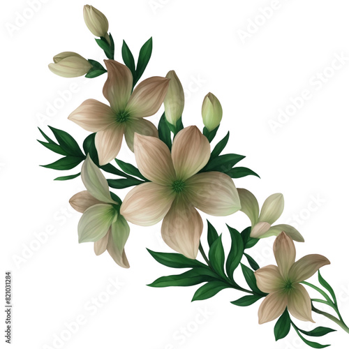 Wallpaper Mural flower transparent background Torontodigital.ca