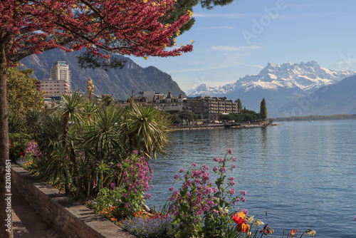 Frühling am Genfer See; Blick vom Quai de Vernex auf Monteux und die Dents du Midi photo