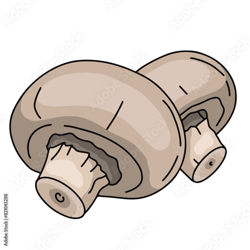Illustration champignons de paris