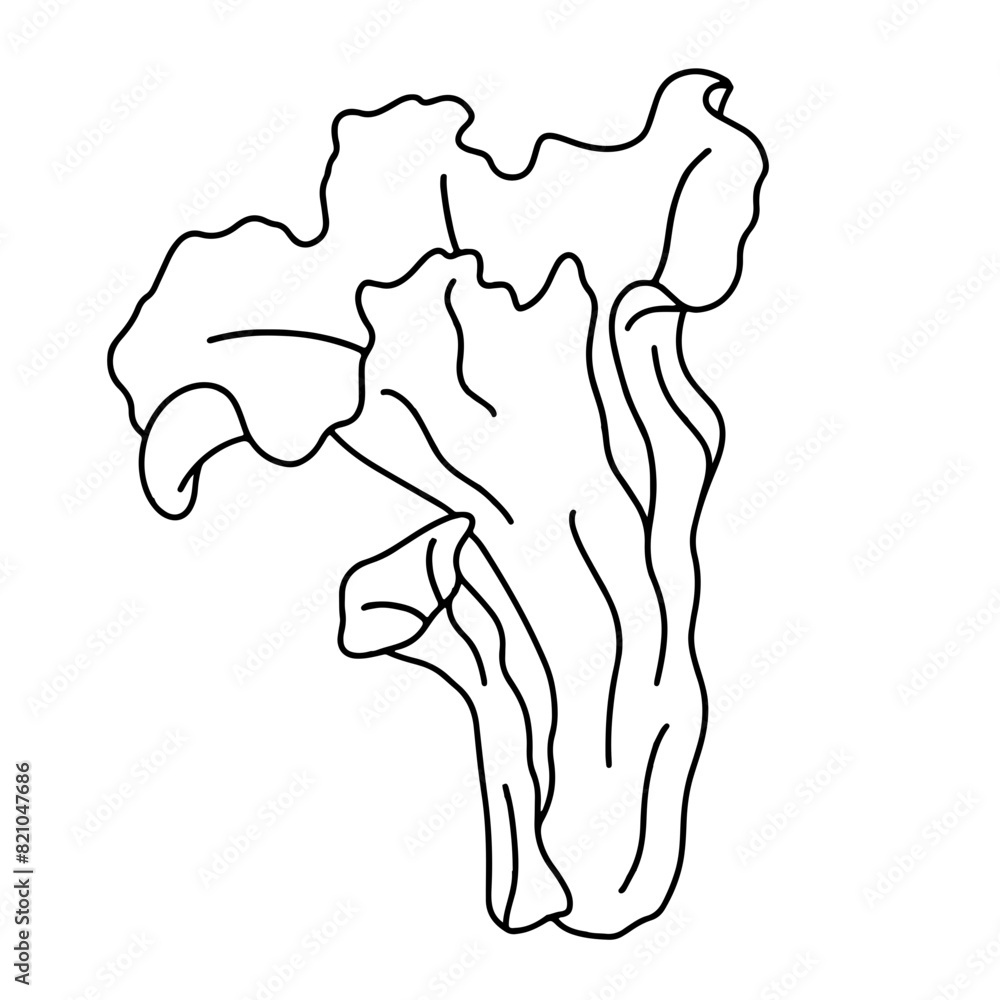 Illustration au trait noir de champignon coren d'abondance