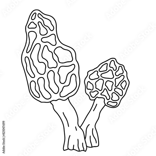 Illustration au trait noir de champignon Morilles