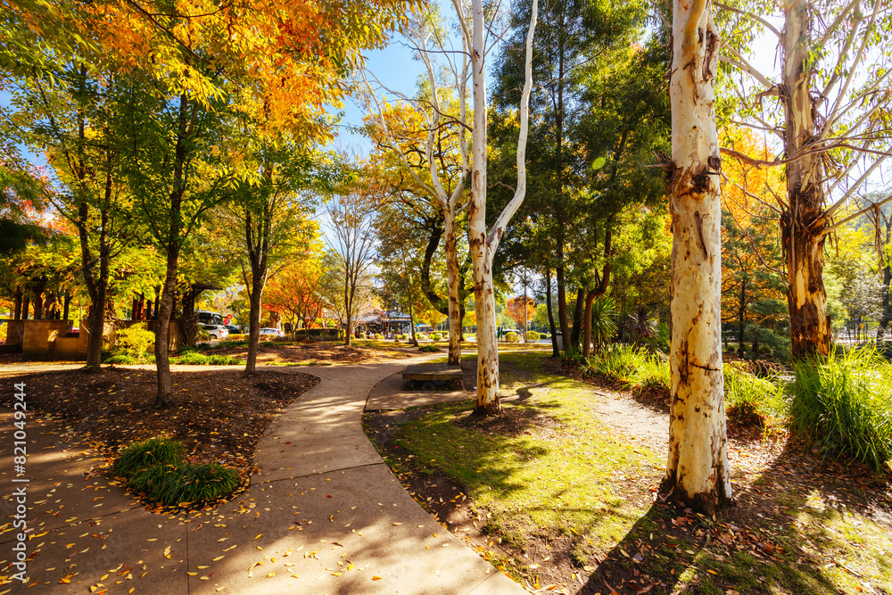 Fototapeta premium Marysville in Autumn Colours in Australia