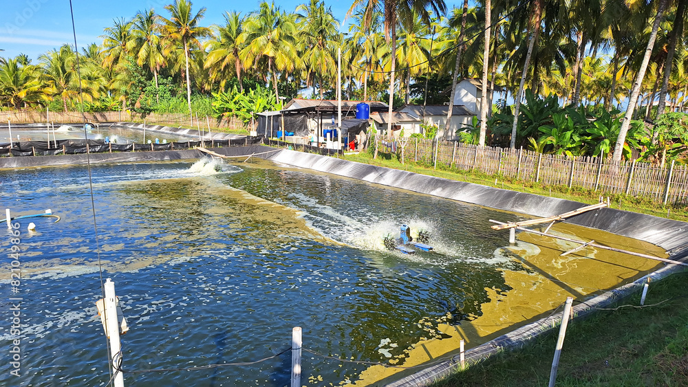 Shrimp cultivation pond in the Pangandaran. Industry area for livestock production, aquaculture.