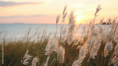 Serene Sunset Amongst Whispering Sea Grass