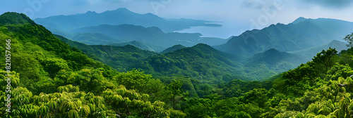 Pristine Wilderness and Mystic Mountains: A Glimpse of the Famed Yakushima Island of Japan Rendered in Harmony