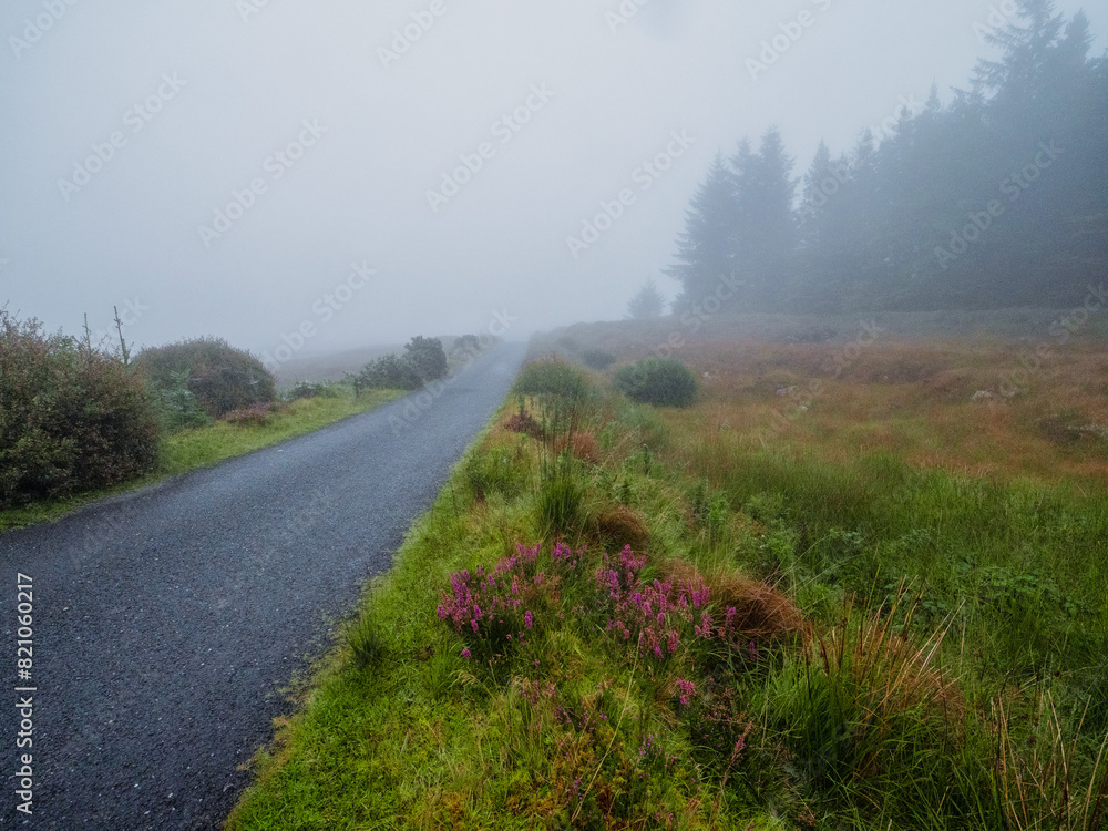 A small country foggy road with trees in the background. Dangerous driving conditions. Rural area in Ireland. Nature scene with mist. Nobody. A small country foggy road with trees in the background. Dangerous driving conditions. Rural area in Ireland. Nature scene with mist. Nobody.