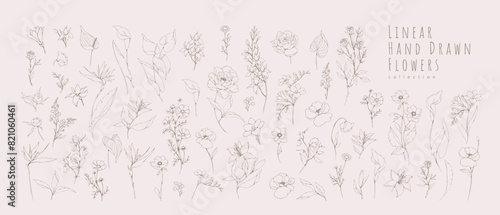 Botanic set of detailed various flowers and brunch. Luxury vintage floral collection for wedding invitation, wallpaper art or save the date card. Botanical vector illustration