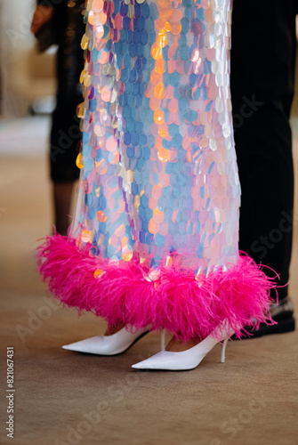 Fotografie Shiny dress with feathers