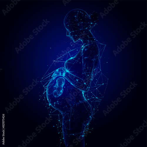 Pregnant woman with fetus (baby) in the womb anatomy, Dark  blue  background, Healthcare and medicine concept.