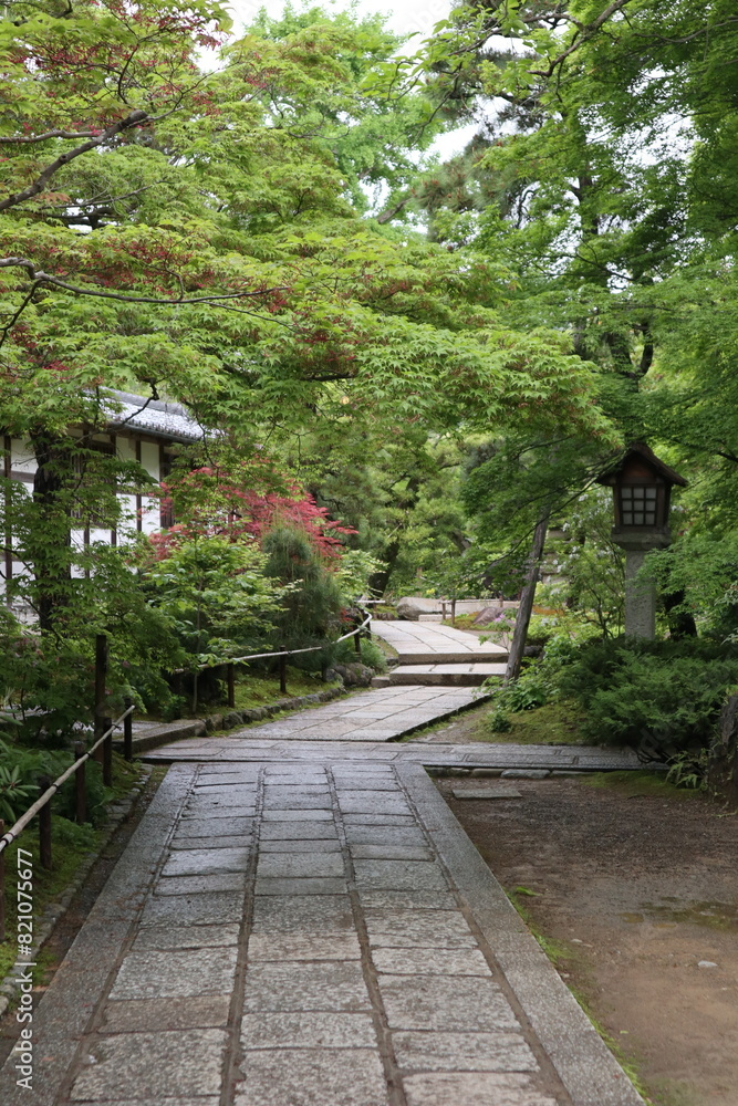 Fresh green in Jojakko-ji Temple in Kyoto, Japan Fresh green in Jojakko-ji Temple in Kyoto, Japan